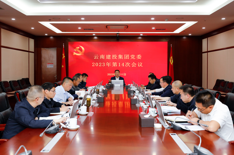 总党委会强调：深入学习贯彻习近平总书记重要讲话精神 高标准高质量开展好主题教育